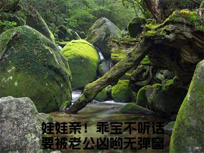 娃娃亲！乖宝不听话要被老公凶哟全文免费在线阅读_（乔露白遇全文免费阅读无弹窗大结局）