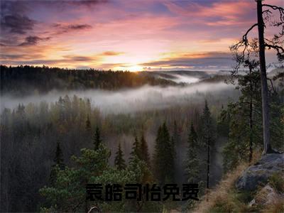 高赞小说袁皓司怡（袁皓司怡小说免费阅读）完结阅读_袁皓司怡全文免费阅读最新章节大结局