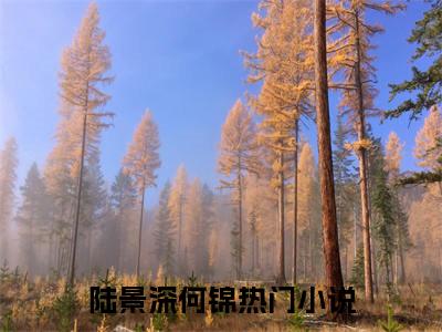 陆景深何锦小说（陆景深何锦）全文免费阅读无弹窗陆景深何锦全文免费阅读无弹窗最新章节列表_笔趣阁