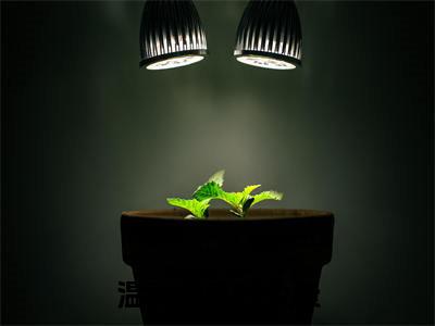 温菱顾宴桥（温菱顾宴桥）小说全文免费阅读正版无弹窗 温菱顾宴桥全文无弹窗阅读