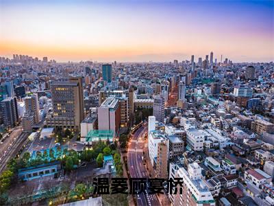 温菱顾宴桥（温菱顾宴桥）全文免费阅读无弹窗大结局_温菱顾宴桥全文阅读最新章节列表_笔趣阁（温菱顾宴桥）