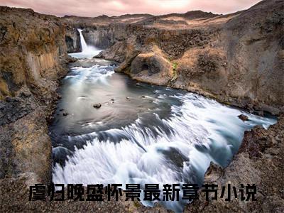 虞归晚盛怀景（虞归晚盛怀景）全文免费阅读无弹窗大结局_虞归晚盛怀景小说免费最新章节列表_笔趣阁