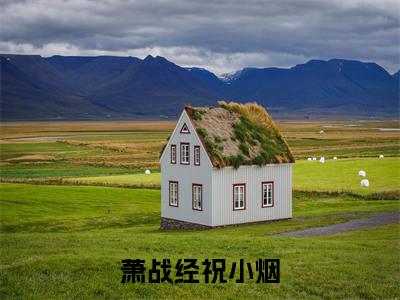 萧战经祝小烟小说(萧战经祝小烟)_全章节小说完整版阅读（萧战经祝小烟）