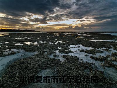 夏栀雨江宁白小说免费大结局全集免费阅读 夏栀雨江宁白章节目录