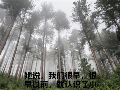 姜晏庭傅小小（她说，我们很早，很早以前，就认识了）免费小说-主角她说，我们很早，很早以前，就认识了全文在线完本阅读笔趣阁