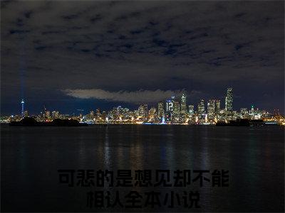 苏韶傅子煜免费小说（可悲的是想见却不能相认）全文免费阅读无弹窗大结局_可悲的是想见却不能相认最新章节列表_笔趣阁