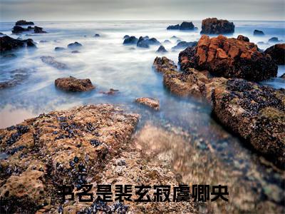 裴玄寂虞卿央（裴玄寂虞卿央）全文免费阅读无弹窗大结局_裴玄寂虞卿央最新章节列表_笔趣阁（裴玄寂虞卿央）