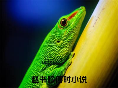 赵书吟傅时（赵书吟傅时）小说全文无删减-赵书吟傅时小说免费阅读大结局