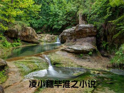 凌小穗毕淮之(凌小穗毕淮之)全文免费阅读无弹窗大结局_凌小穗毕淮之(凌小穗毕淮之小说全文无弹窗)完整版最新阅读（凌小穗毕淮之）