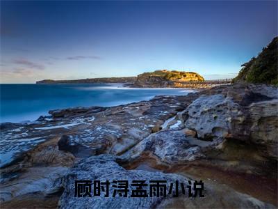 顾时浔孟雨免费阅读结局顾时浔孟雨无弹窗全本免费阅读