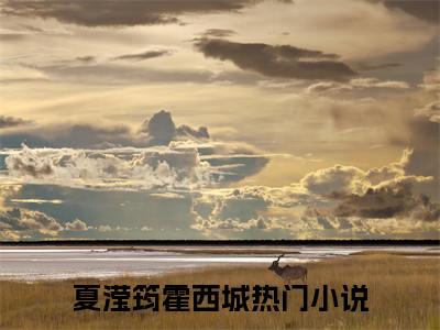 小说太爱太痛太伤（夏滢筠霍西城）大结局免费阅读-夏滢筠霍西城最新热门小说全文阅读