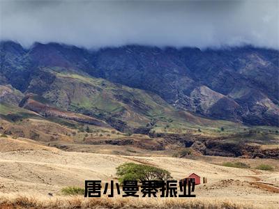 （唐小曼秦振业）是什么小说-（唐小曼秦振业）全文免费阅读无弹窗大结局（唐小曼秦振业）最新章节列表_笔趣阁