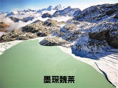 狐君缠上身小说在线阅读全文无弹窗_墨琛魏莱小说最新全文完整无删减版