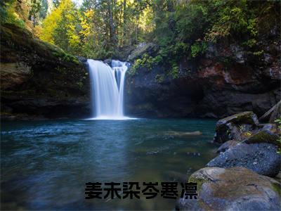 姜未染岑寒凛小说《姜未染岑寒凛》全章节阅读-姜未染岑寒凛精彩小说全文赏析