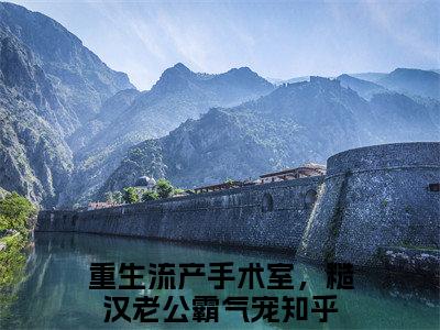 （重生流产手术室，糙汉老公霸气宠）全文免费阅读无弹窗大结局-刘芝蒋知行小说最新章节列表
