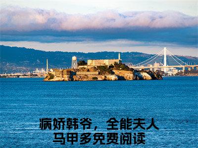 顾沫韩北辰全文无弹窗阅读 病娇韩爷，全能夫人马甲多大结局全文免费
