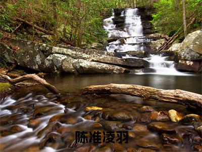 陈准凌羽（多雨之地）免费阅读无弹窗大结局_陈准凌羽小说（多雨之地）免费阅读最新章节列表（多雨之地）