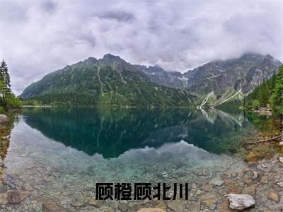 全家炮灰读我心后，剧情崩得稀碎（顾橙顾北川小说）全文免费阅读无弹窗大结局_顾橙顾北川小说最新章节列表_笔趣阁（全家炮灰读我心后，剧情崩得稀碎）
