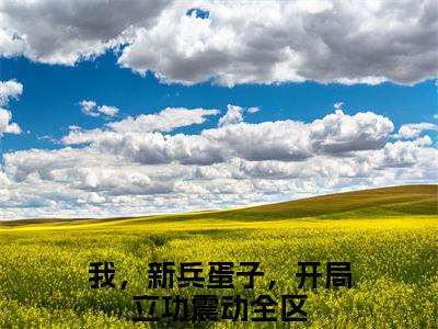 我，新兵蛋子，开局立功震动全区全文免费阅读无弹窗_（范天雷林修）全文在线阅读大结局