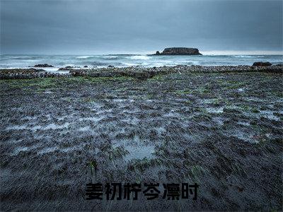 姜初柠岑凛时（姜初柠岑凛时）全文免费阅读无弹窗大结局_姜初柠岑凛时全文免费阅读_笔趣阁（姜初柠岑凛时）