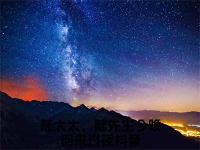 陆太太，陆先生今晚回来过夜是什么小说-小说顾南烟陆北城全文阅读