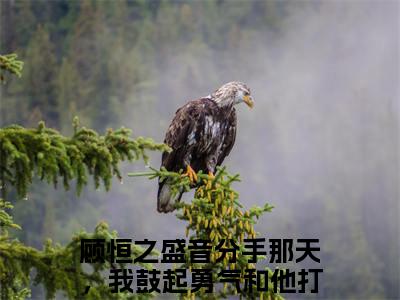 分手那天，我鼓起勇气和他打破界限的小说全文免费阅读无弹窗,顾恒之盛音的小说在线免费阅读大结局（顾恒之盛音）