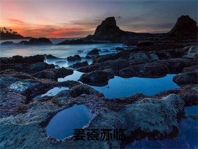 姜瓷苏临(姜瓷苏临)全文免费阅读大结局_姜瓷苏临全文在线完本阅读