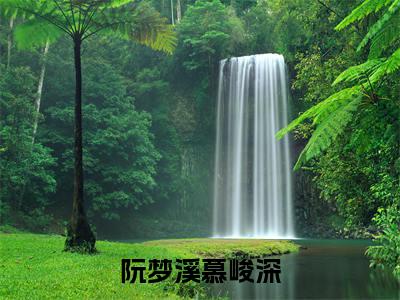阮梦溪慕峻深全文小说-阮梦溪慕峻深小说最新章节免费阅读