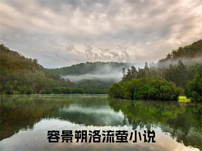 容景朔洛流萤(容景朔洛流萤)全文免费阅读_容景朔洛流萤(容景朔洛流萤)免费在线阅读_笔趣阁（容景朔洛流萤）