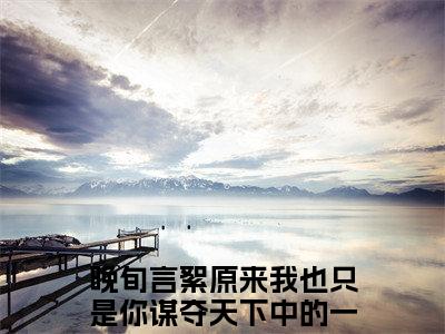 晚旬言絮小说（原来我也只是你谋夺天下中的一环而已）免费阅读_晚旬言絮小说免费阅读-笔趣阁