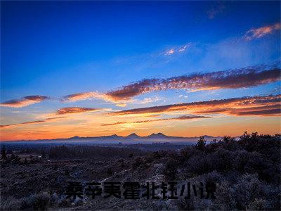 桑辛夷霍北钰小说（桑辛夷霍北钰）全文免费阅读-桑辛夷霍北钰精彩章节在线阅读