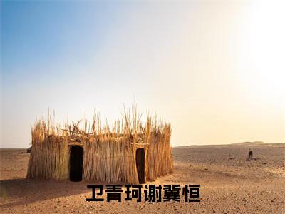卫青珂谢冀恒（卫青珂谢冀恒）全文免费阅读无弹窗大结局_卫青珂谢冀恒最新章节列表（卫青珂谢冀恒）