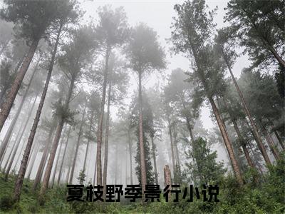 夏枝野季景行全文免费阅读无弹窗大结局-夏枝野季景行川在线阅读