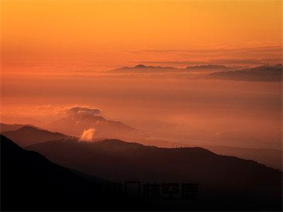 南怀璟林空鹿全文免费最后一章在线阅读 南怀璟林空鹿全文小说完整版