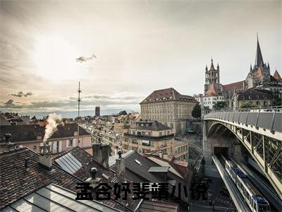 孟含妤斐靖小说全文免费阅读(孟含妤斐靖)全文免费阅读无弹窗大结局_ 孟含妤斐靖最新章节列表_笔趣阁（孟含妤斐靖小说）