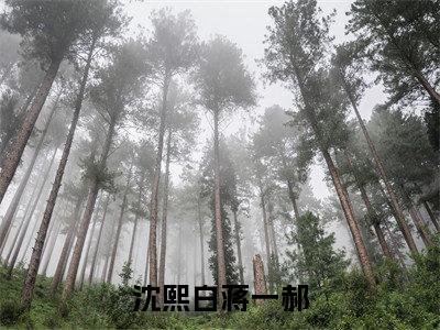 沈熙白蒋一郝（沈熙白蒋一郝）全文免费阅读无弹窗大结局_沈熙白蒋一郝全文在线阅读无弹窗