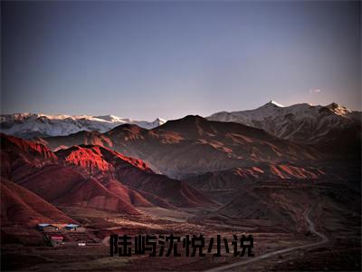 陆屿沈悦小说完整版大结局-陆屿沈悦小说完结版在线阅读