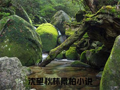 沈望秋林景柏小说(沈望秋林景柏)_全章节小说完整版阅读（沈望秋林景柏）