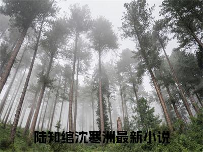 陆知绾沈寒洲最新章节（陆知绾沈寒洲）全文免费阅读无弹窗大结局_陆知绾沈寒洲免费阅读（陆知绾沈寒洲）