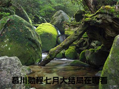 （热推新书）《慕川勋程七月》程七月慕川勋无弹窗阅读_慕川勋程七月最新章节列表_笔趣阁