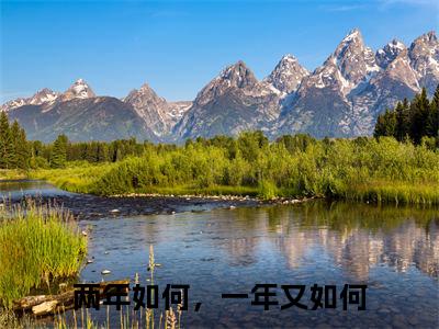 苏浅安顾青城小说最新试读_两年如何，一年又如何小说名是（苏浅安顾青城）_笔趣阁