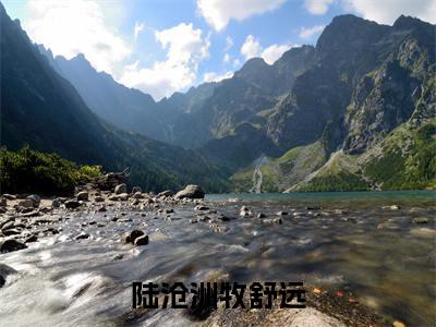 陆沧洲牧舒远（侯爷还不哄妻？夫人已经是京城首富了）全文无弹窗阅读-精彩小说侯爷还不哄妻？夫人已经是京城首富了（陆沧洲牧舒远）