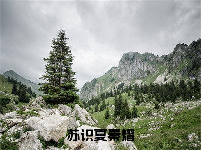 苏识夏秦熠（苏识夏秦熠）全文免费阅读无弹窗大结局_苏识夏秦熠小说苏识夏秦熠最新章节列表_笔趣阁(苏识夏秦熠）