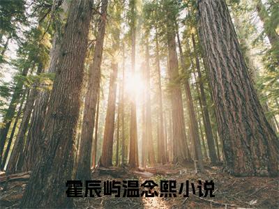 霍辰屿温念熙（霍辰屿温念熙）全文免费阅读无弹窗大结局-霍辰屿温念熙全文未删减阅读（霍辰屿温念熙）