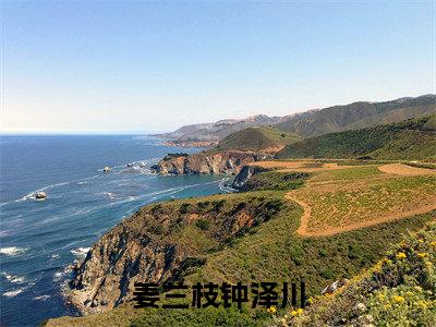 主角是姜兰枝钟泽川的小说叫什么名字姜兰枝钟泽川-老书虫书荒推荐热点小说（姜兰枝钟泽川）
