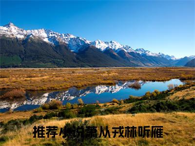 萧从戎林听雁（萧从戎林听雁）全文免费阅读无弹窗大结局_（萧从戎林听雁）萧从戎林听雁免费阅读最新章节列表笔趣阁（萧从戎林听雁）