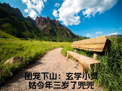 兜兜的小说全文免费阅读无弹窗,团宠下山：玄学小灵姑今年三岁了的小说在线免费阅读大结局（团宠下山：玄学小灵姑今年三岁了）