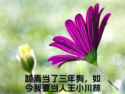 王小川林梦秋在线阅读（跪着当了三年狗，如今我要当人）全文免费阅读无弹窗大结局_跪着当了三年狗，如今我要当人最新章节列表笔趣阁（王小川林梦秋）