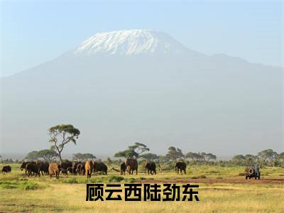 顾云西陆劲东最新章节小说推荐阅读-新书顾云西陆劲东精彩片段阅读