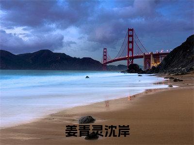 高赞小说姜青灵沈岸（姜青灵沈岸小说免费阅读）完结阅读_姜青灵沈岸小说免费阅读免费看全文